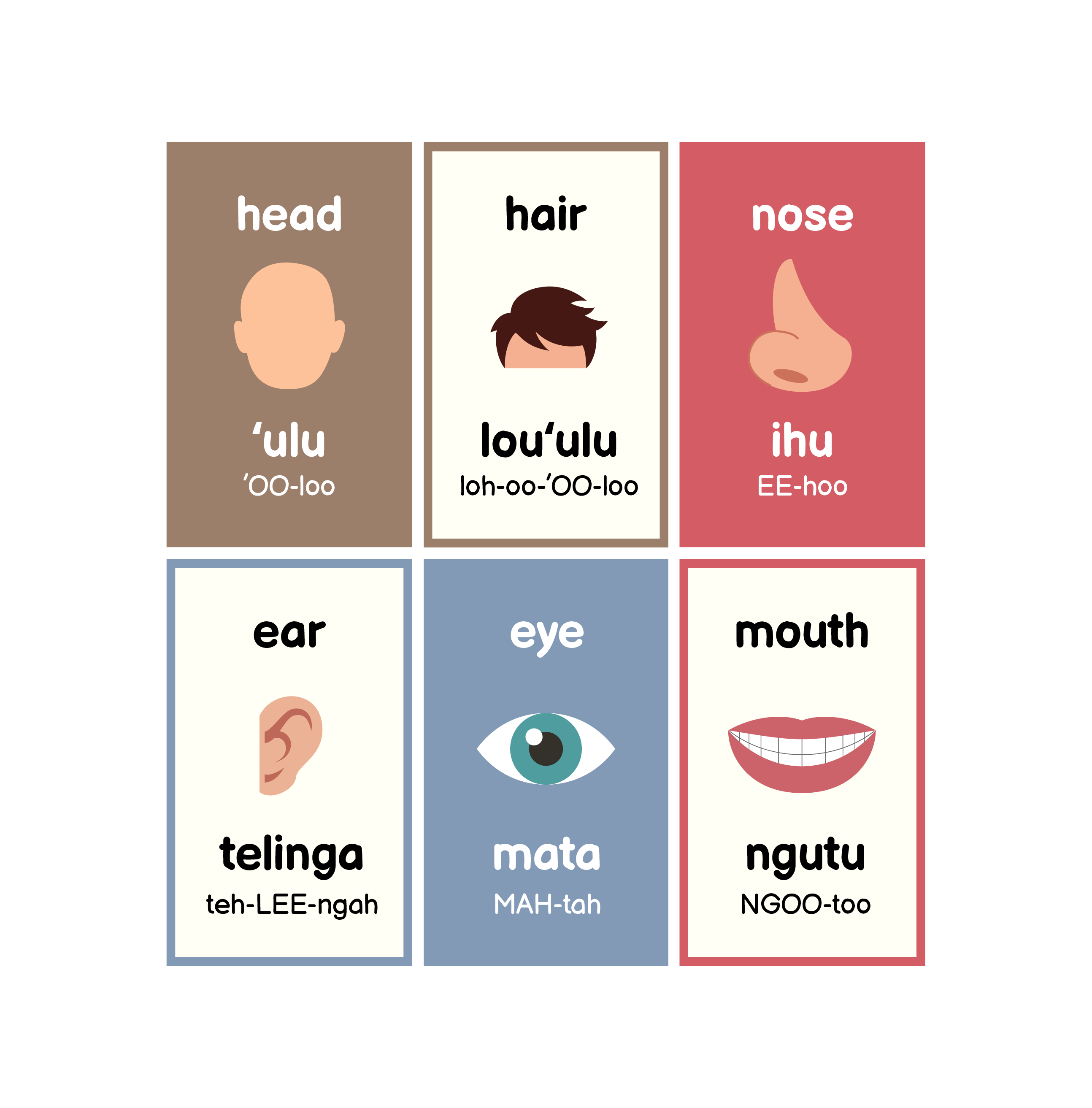 First 100 Words in Tongan — selected interior PDF page 22