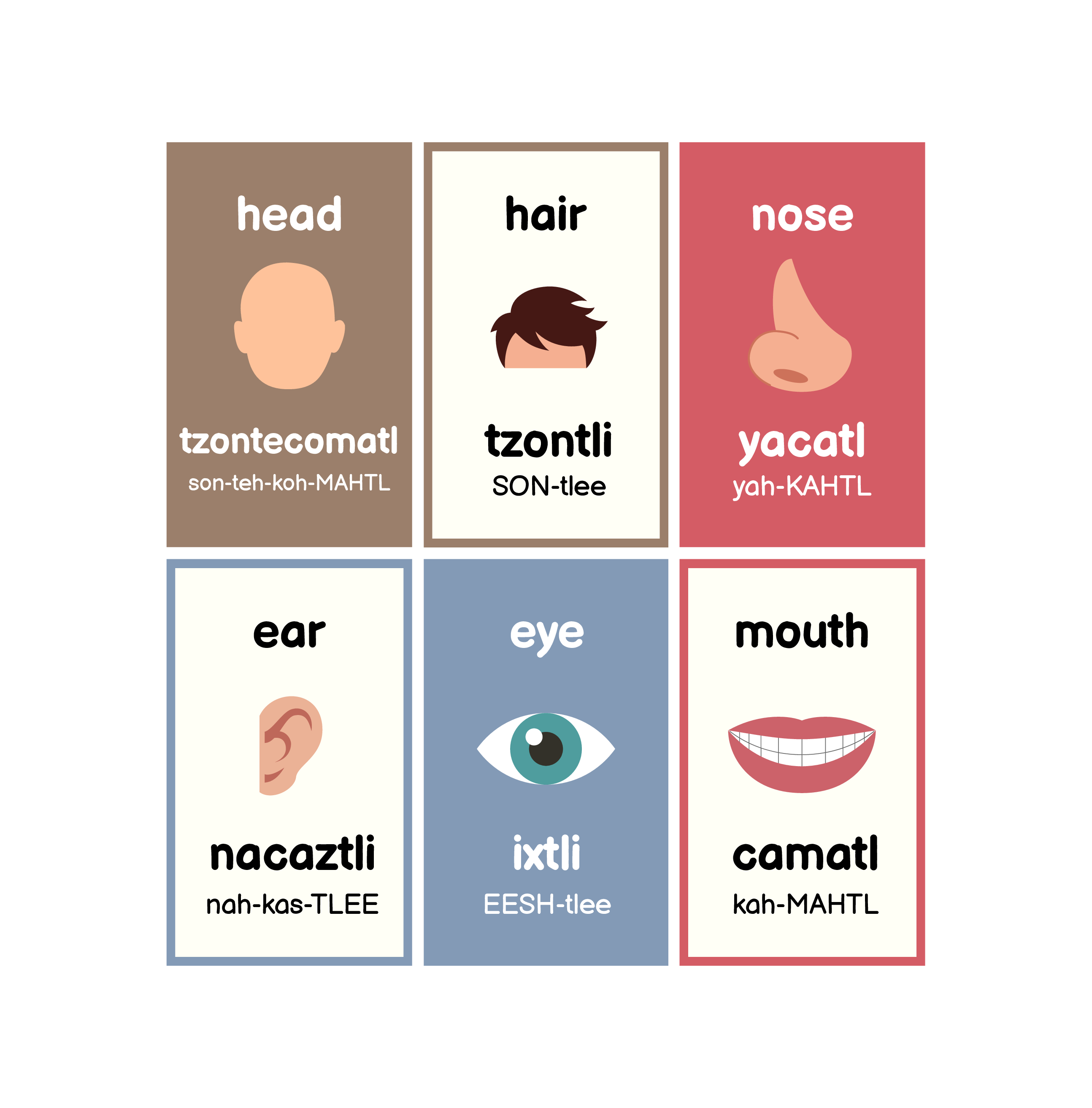First 100 Words in Nahuatl — selected interior PDF page 22